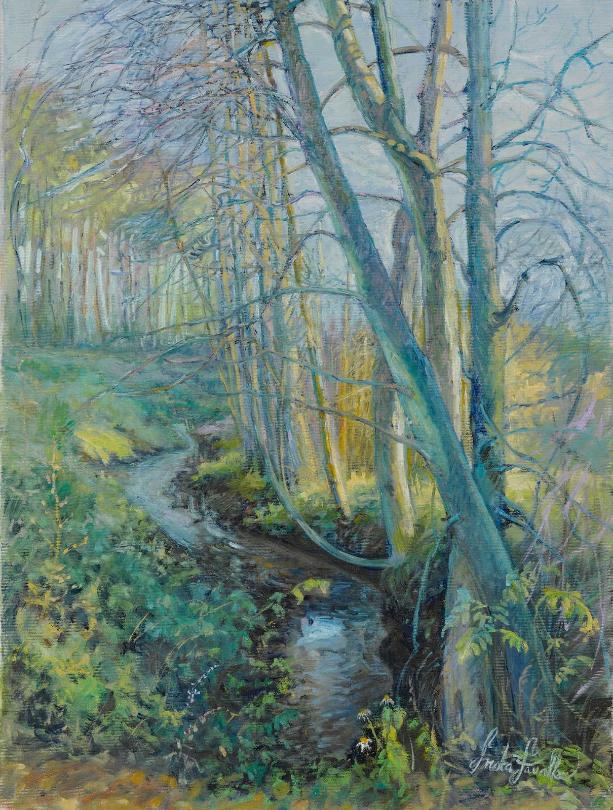 Symphony of the Forest